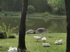 -中国浦东干部学院