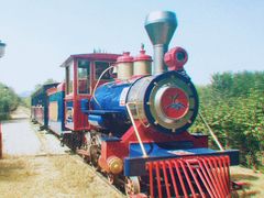 -永定河休闲森林公园