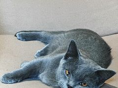 -IN COFFEE LAB 隐咖啡