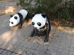 集发农业观光园-北戴河集发农业梦想王国