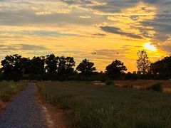 -汉长安城未央宫国家考古遗址公园