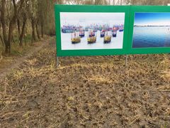 -溱湖国家湿地公园