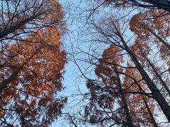 -西郊宾馆·1921餐厅