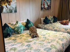 -挪亚方舟度假酒店