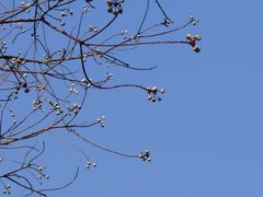 -狼山风景名胜区