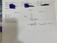 -萌兽医馆·犬猫专科·眼科中心·宠物医院(朝阳门分院)
