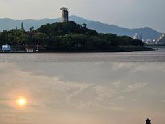 -江心屿景区