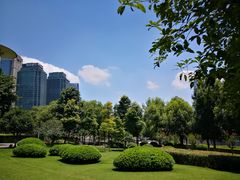 -重庆市江北嘴中央商务区中央公园