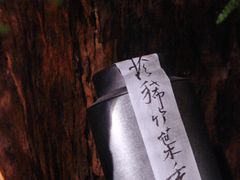 -一慈茶馆(雨田馆)