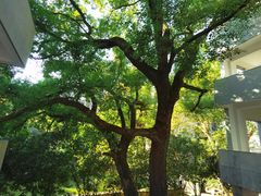 -湖北美术学院(昙华林校区)