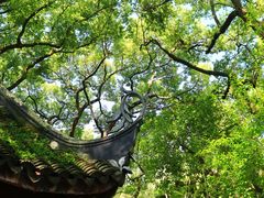 -上海醉白池公园