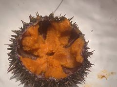 -上宴精品海鲜姿造(晶融汇旗舰店)