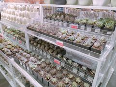 -KKV(深圳宏发大仟里店)