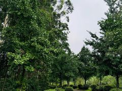 -白鹭湾湿地公园