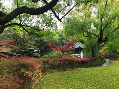 -申粤轩酒楼·三十年粤菜经典(丁香花园店)