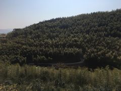 -天目湖御水温泉·度假酒店