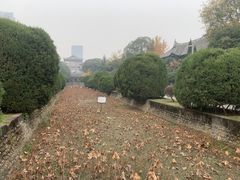 -华西坝(地铁站)