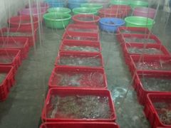 android_upload_pic-幸福姐海鲜大排档