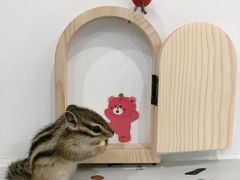 -FULL MOON满月咖啡