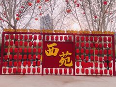 -西苑公园