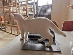 -小时光咖啡馆(开森度假森林店)