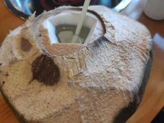 -南国锋味椰子鸡(瀚海店)