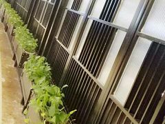 -星伦多自助料理·涮烤一体(嘉兴八佰伴店)