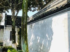 -乌镇东栅景区