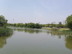 -贡湖湾湿地公园