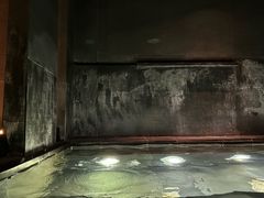 -丽思卡尔顿酒店泳池(金融街店)