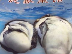-蚝家菜馆(沙井店)
