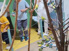 -上海大自然野生昆虫馆(东方明珠·爬宠昆虫探索中心)