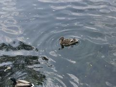 -什刹海