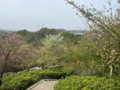 -厦门园林博览苑