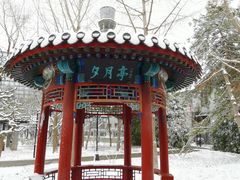 -月坛公园
