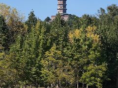 -北坞公园