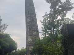 -上海佘山国家森林公园天马山园