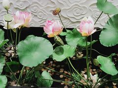 -惠丰堂饭庄