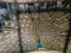 -酷嗒动物文化乐园(cutezoo西溪乐天城店)