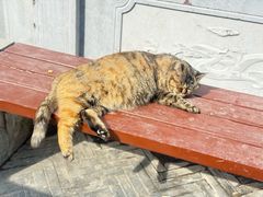 -终南山南五台景区