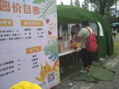 -前小桔亲子创意农场·草莓采摘·露营烧烤