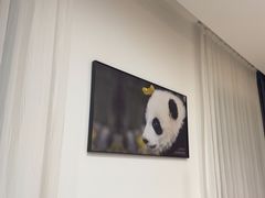 -金熊猫川菜餐厅
