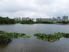-新江湾城公园