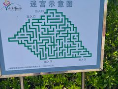 -上海鲜花港