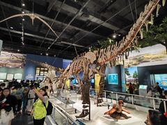 -国家自然博物馆