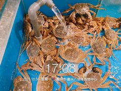 -星伦多自助料理·涮烤一体(嘉兴八佰伴店)