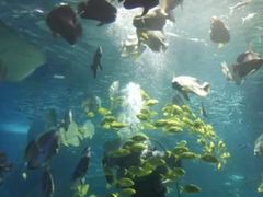 -锦艺城海洋馆