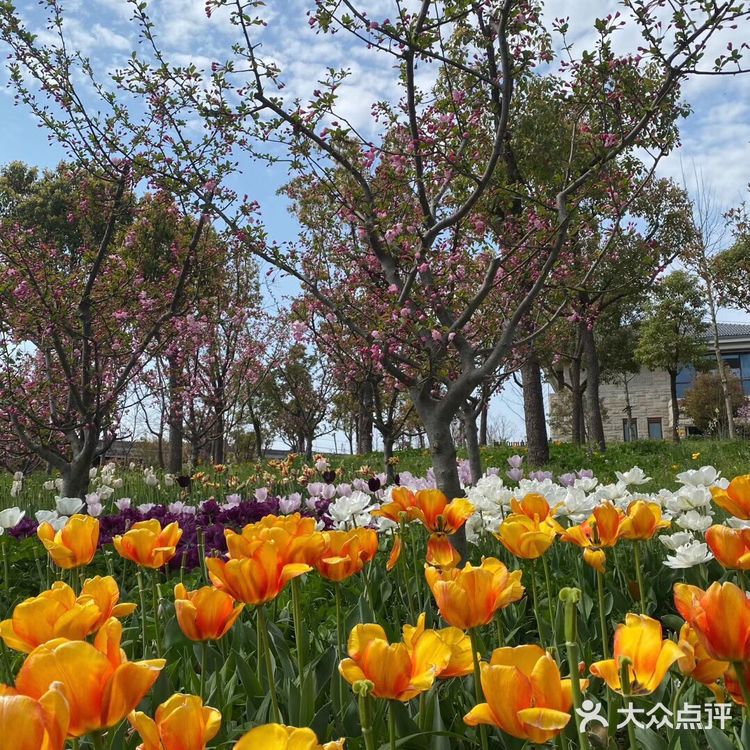 观赏着美丽的风景，春回大地，万物复苏，吸着清新的空气