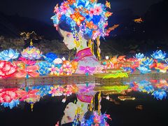 -南沙蒲洲花园