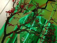 -望湘园湖南菜(赛格店)